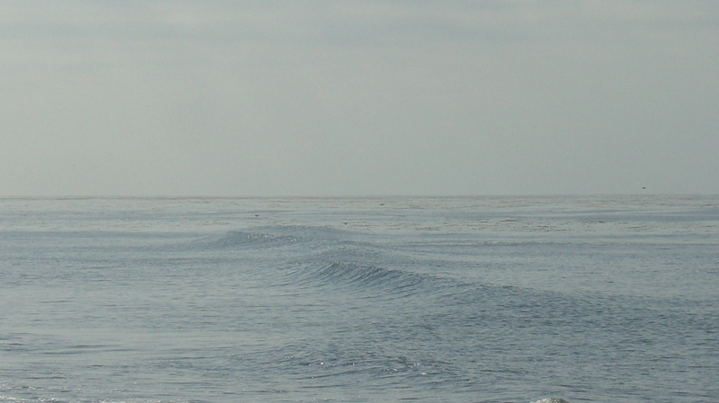 punto quatro casas baja california mex mexico surf