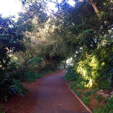 ke ala pupukea bike path