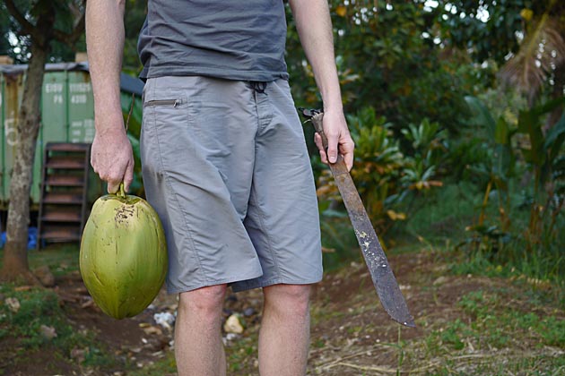 machete coconut