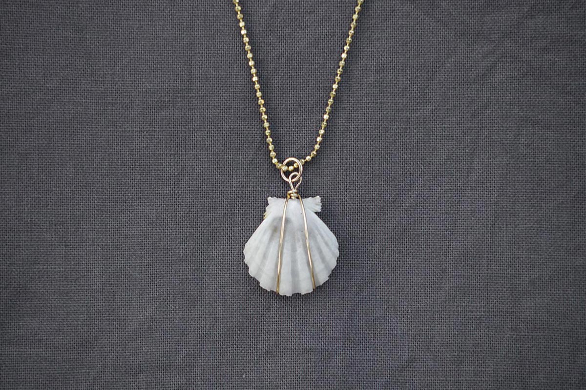 rare white sunrise shell pendant
