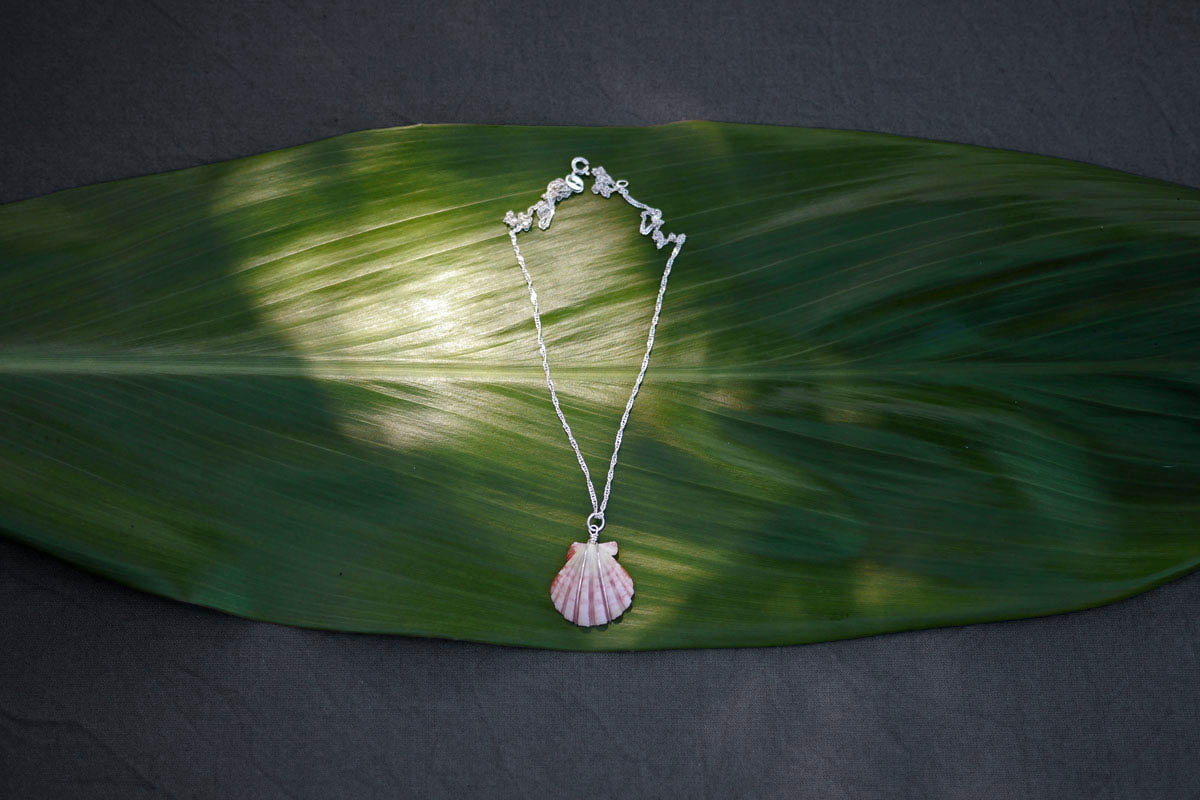 rare pink sunrise shell pendant