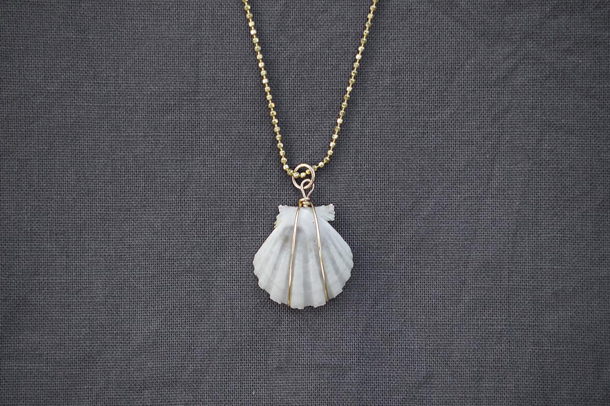 white hawaiian sunrise shell pendant for sale