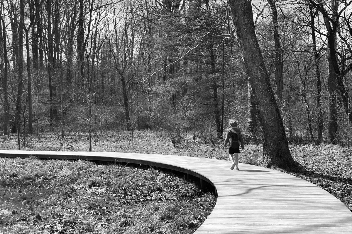 glenstone Richard Serra four rounds