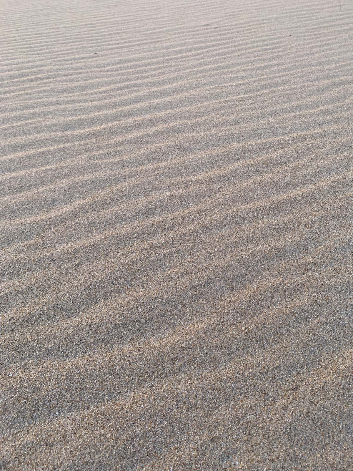 sand ripples wind texture beach