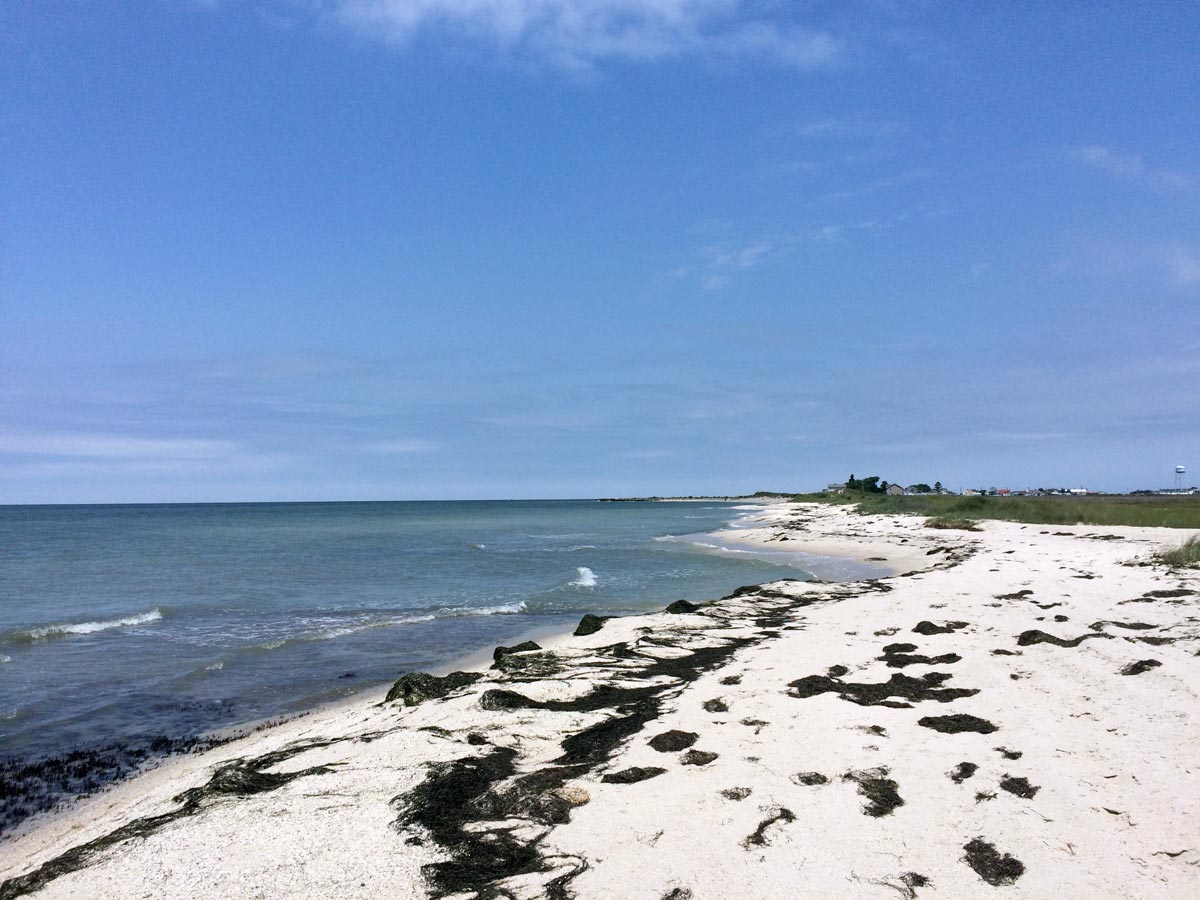 Tangier Island beach