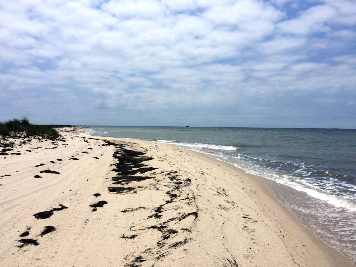 Tangier Island beach